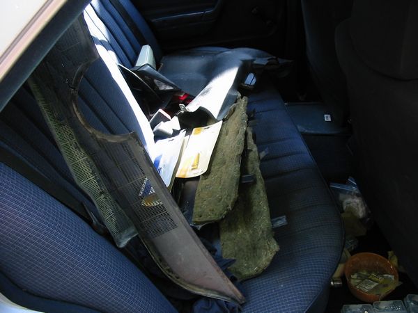 Click to see next picture