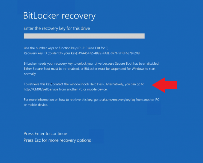Learn about Bitlocker Management in Microsoft Endpoint Configuration